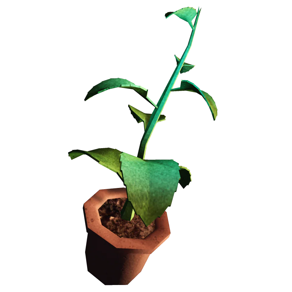 Green Herb