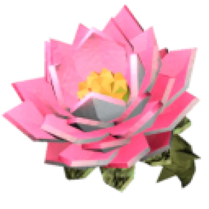Lotus