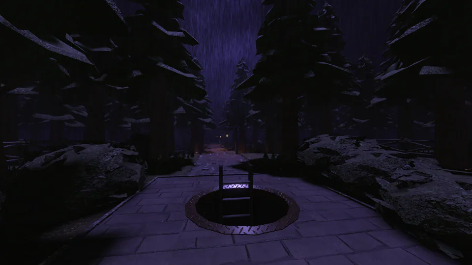 The Woods