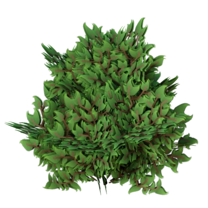 Foliage