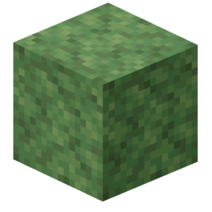 Moss Block