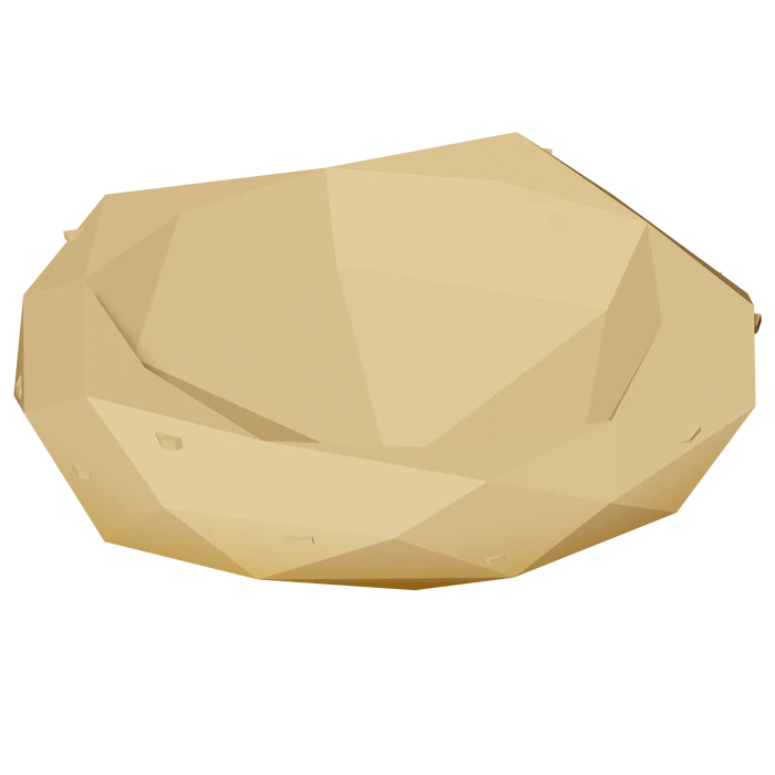 Nest