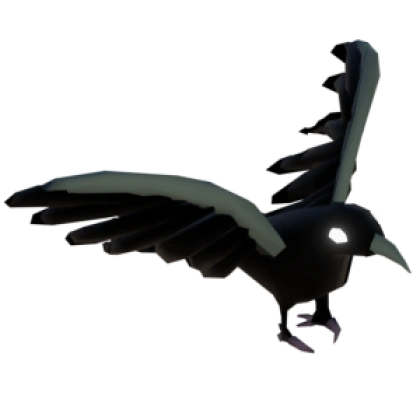 Raven (item)