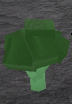 Broccoli