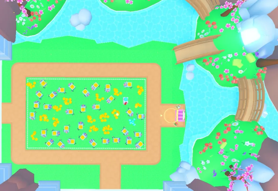 Flower Field