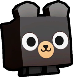 Black Bear