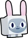 Bunny Cat