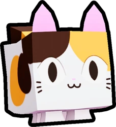 Calico Cat