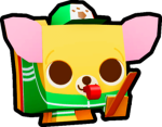 Coach Chihuahua