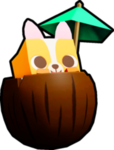Coconut Corgi
