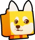 Doge