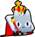 Exquisite Cat