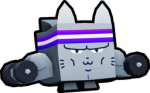 Gym Cat