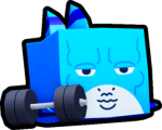 Gym Shark
