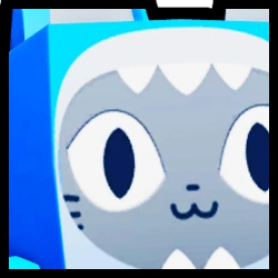 Huge Shark Cat