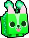 Irish Corgi