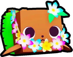 Luau Seal