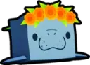 Marigold Manatee