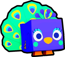 Peacock
