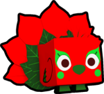 Poinsettia Peacock