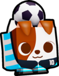 Soccer Terrier