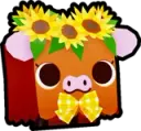 Sunflower Calf