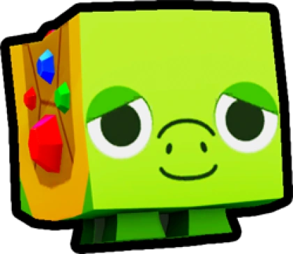 Treasure Turtle