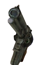 Gun