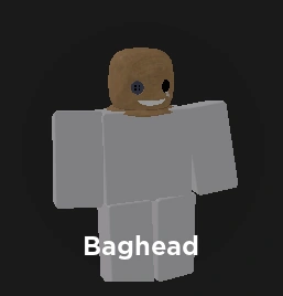 Bag Head