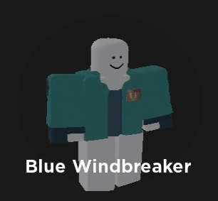 Blue Windbreaker