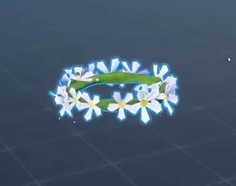 Flower Crown
