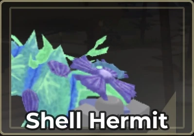 Shell Hermit