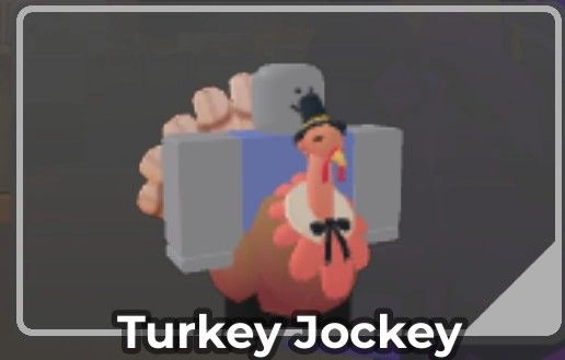 Turkey Jockey