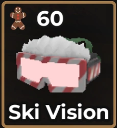 Ski Vision