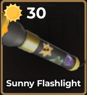 Sunny Flashlight