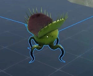 Venus Fly Trap