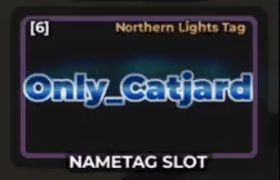Northern Lights Tag