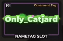 Ornament Tag