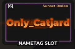 Sunset Rodeo