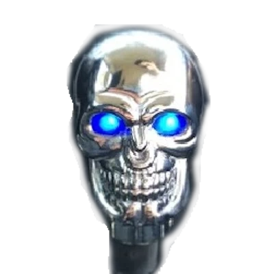Bad to the Bone