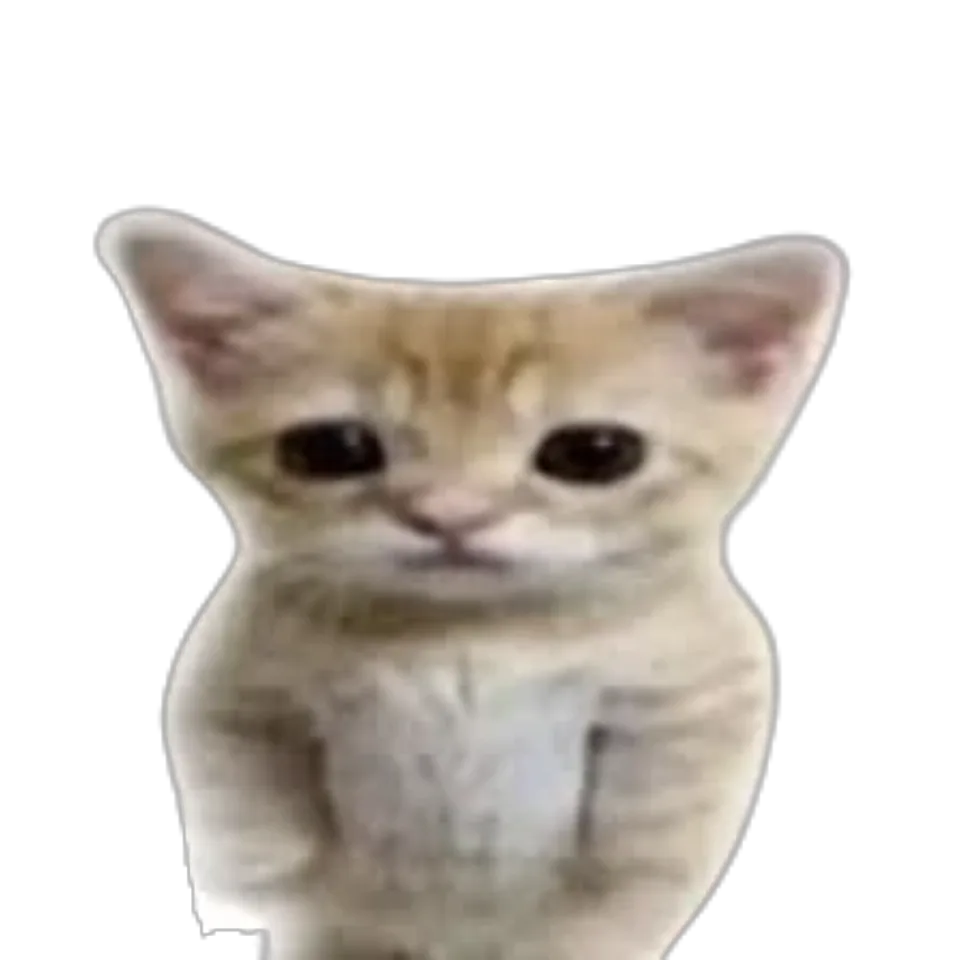 El Gato