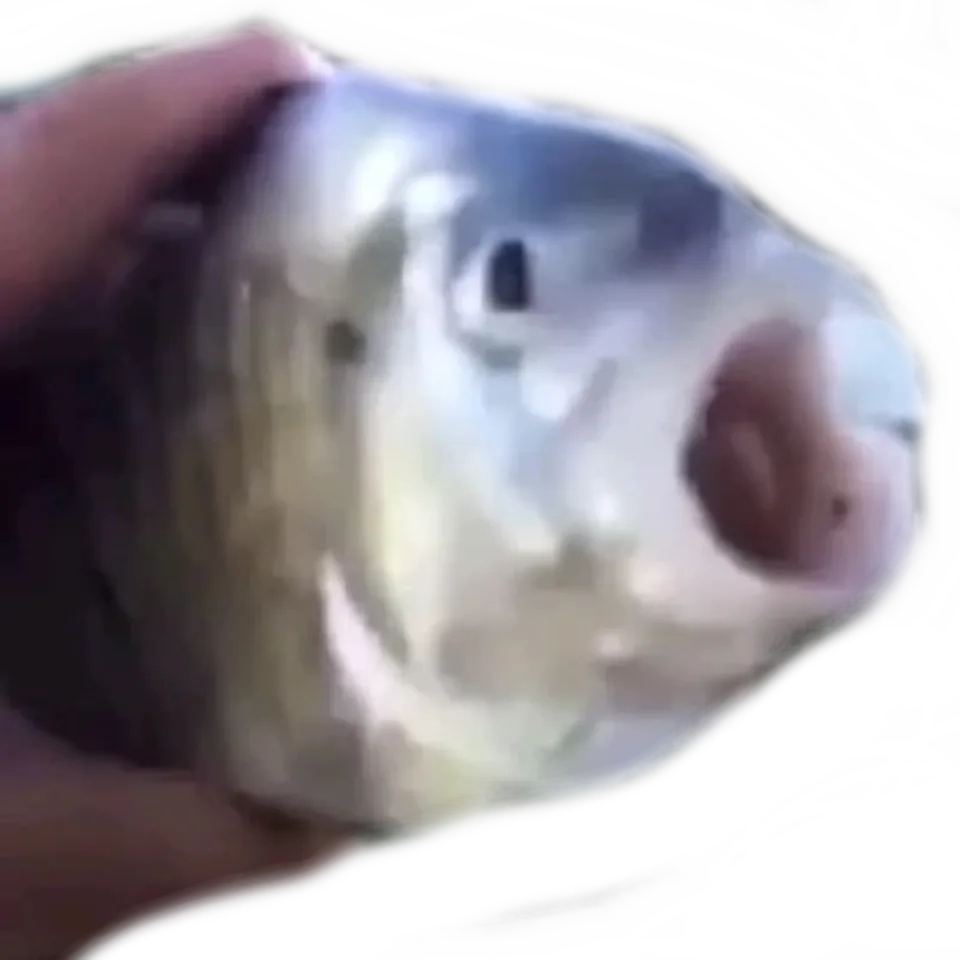 Killer Fish