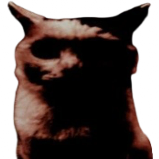 Ominous Cat