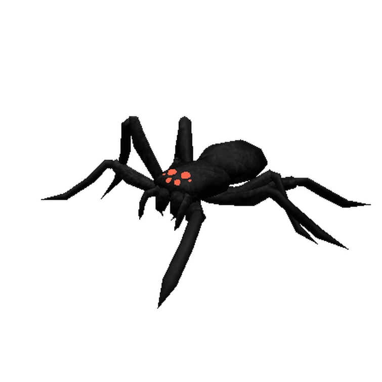 Spider