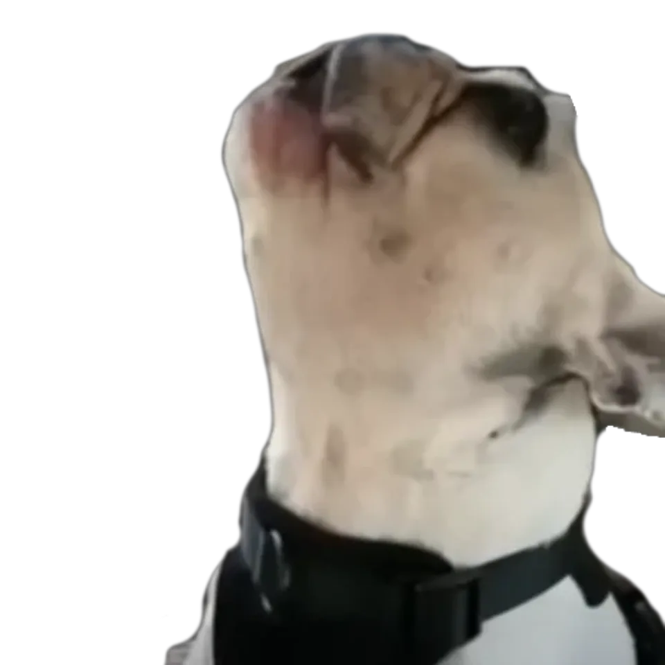 Walter