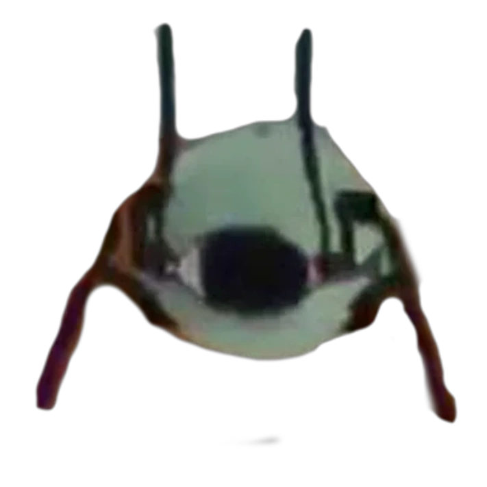 Wheatley Crab