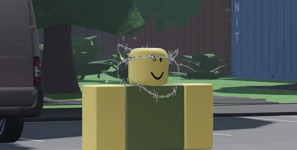 Encapsulated Barbed Wires