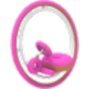 Donut Cycle