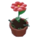Growing Flower Hat