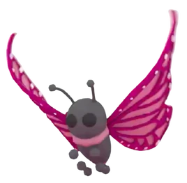 2021 Uplift Butterfly